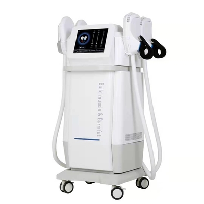 Pulsed Electromagnetic Field Therapy 150hz Ems เครื่องสลายไขมัน 5000w